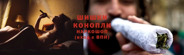 амф Краснослободск