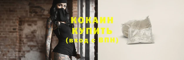 apvp Коряжма