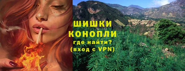 амф Краснослободск
