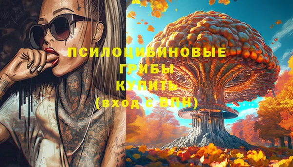 apvp Коряжма