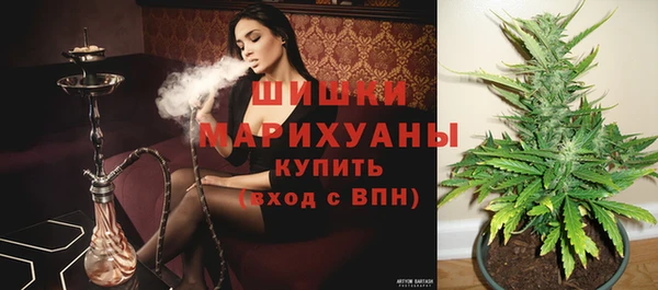 крисы Костерёво