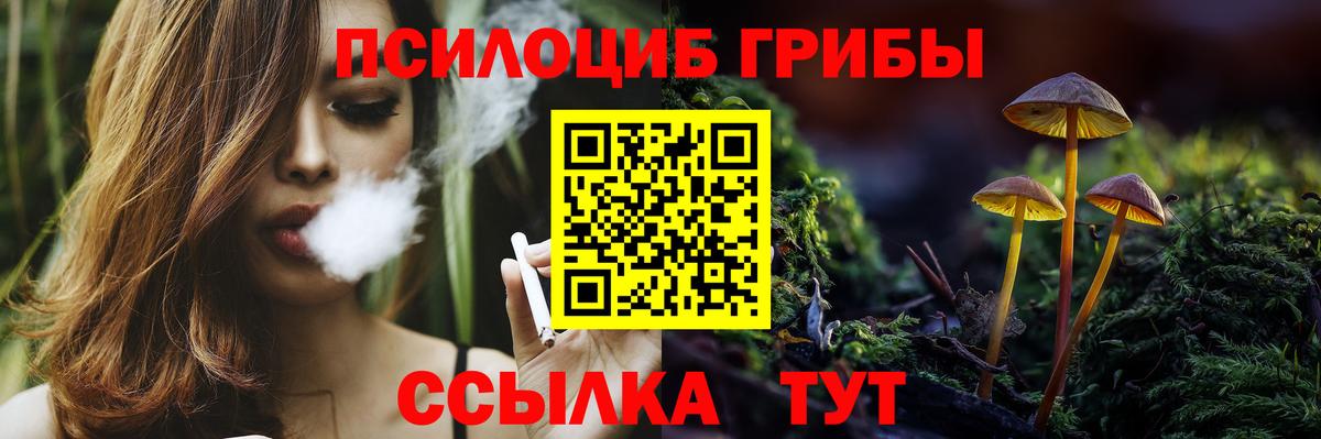 Псилоцибиновые грибы прущие грибы Новоалександровск