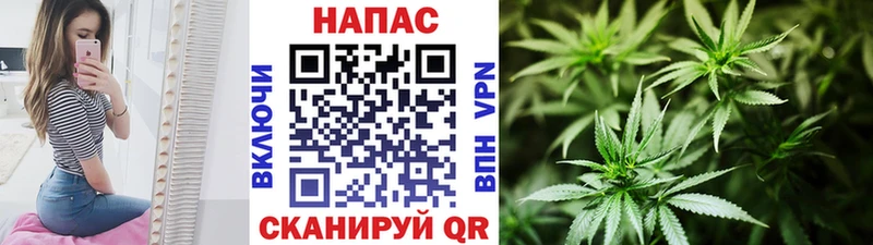 Каннабис гибрид  blacksprut зеркало  маркетплейс клад  Новоалександровск 