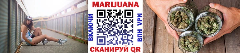 Конопля план Новоалександровск